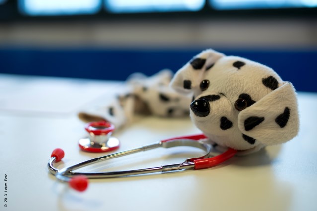 Bamsehospitalet besøger SALTO